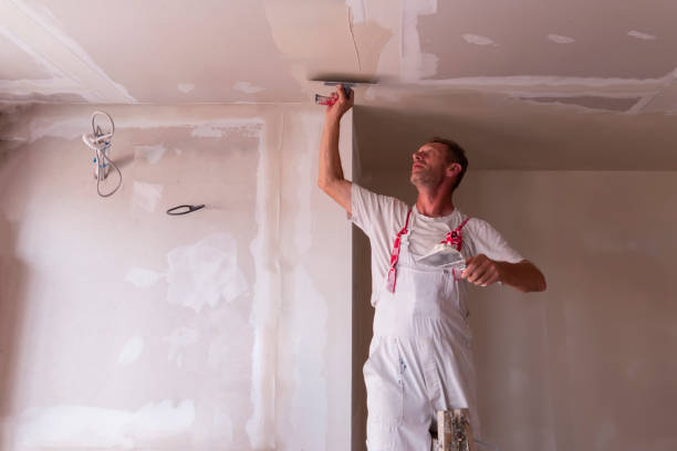 Reliable Lordsburg, NM Dry wall and painting Solutions